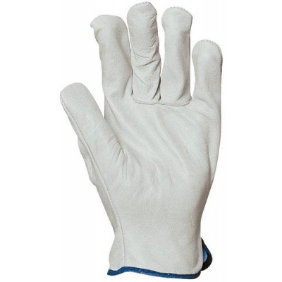 Gants de maitrise 2238
