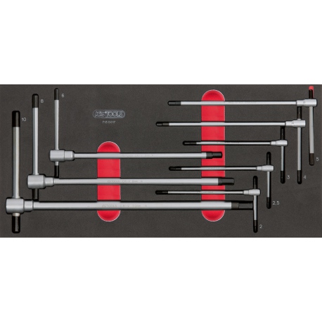 Module d'outils EXPERT 8 clés males 6 pans en T - plateau plastique marque  EXPERT, E121609