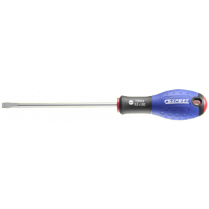 E165138 Expert Tournevis pour vis fente Mécanicien