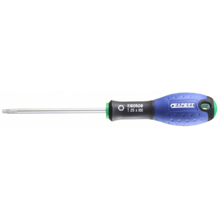E160505 Expert Tournevis Torx®