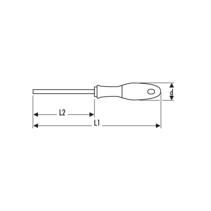 E160505 Expert Tournevis Torx®