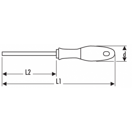 E160505 Expert Tournevis Torx®