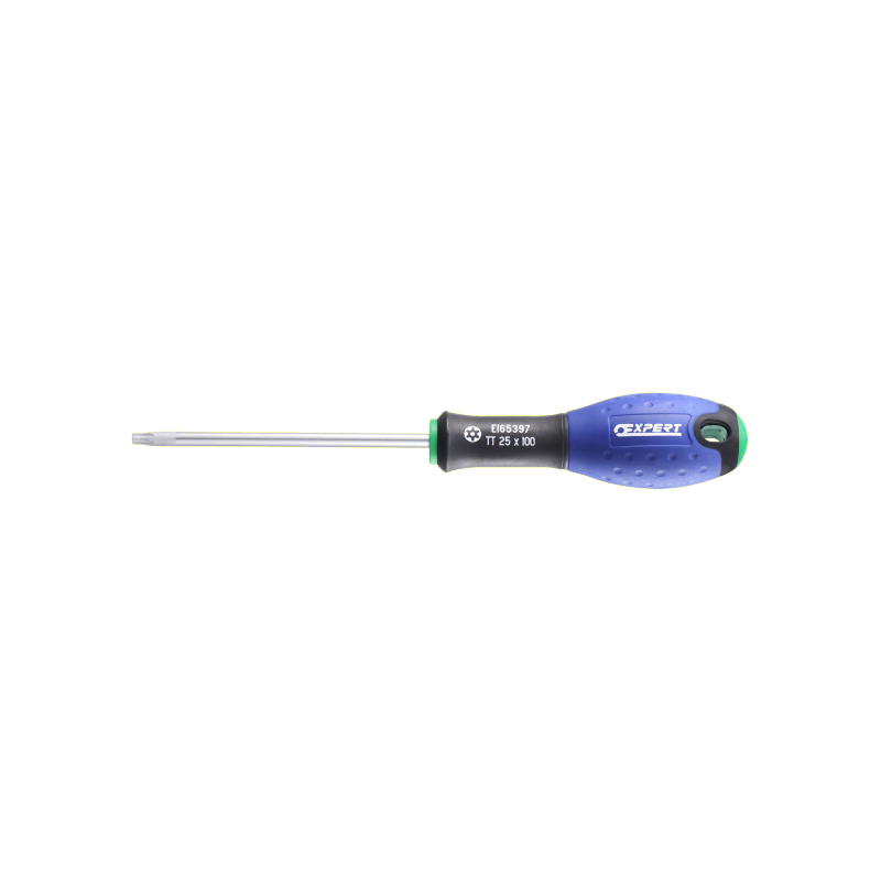 E165340 Expert Tournevis Resistorx®