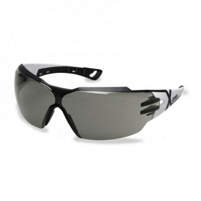 Lunettes de protection à branches Pheos CX2 PC gris 23% Uvex | 9198237