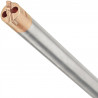 Foret Aspirant SDSPlus Diamètre 12mm Longueur 200mm - Dewalt | DT60340