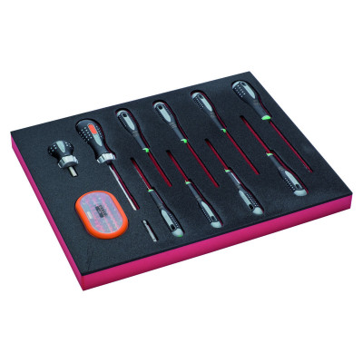Jeu de tournevis TORX®, module mousse 2/3 Fit&Go - 12 pcs - Bahco | FF1F1005