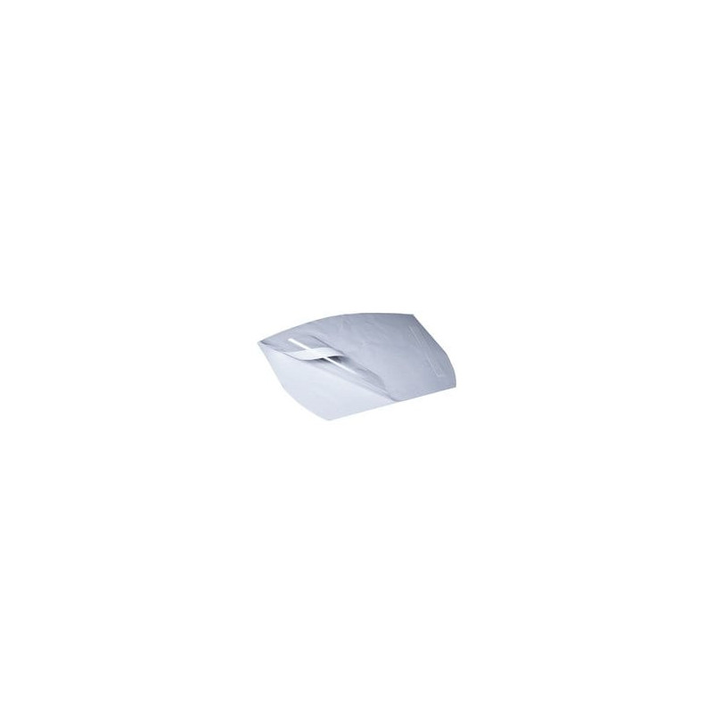 Film de protection visière Versaflo S-920L pour coiffes et cagoules M/L - Boîte de 40 - 3M | 7000042683