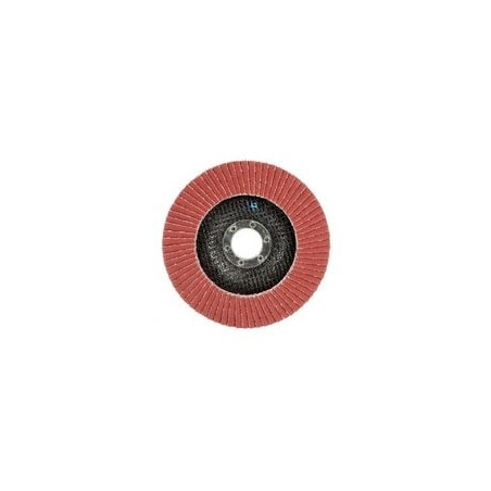 disque abrasif à lamelle 125mm (10 unités)
