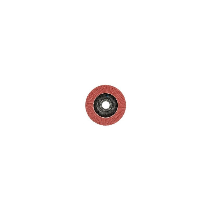 Disque à lamelles Cubitron  II 969F, 125 mm x 22 mm, 80+, Bombé - 3M | 7100105852