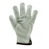 Gants maîtrise EUROSTRONG 2210 tout fleur vachette sup. ecru - COVERGUARD | MO2210
