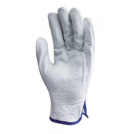 Gants maîtrise EUROSTRONG 1240 fleur standard, dos croûte - COVERGUARD | MO1240