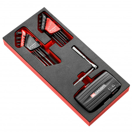 Module de Serrage 1/4" et clés males - FACOM | MODM.RL8389PB