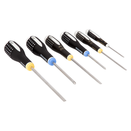 Set 6 Tournevis ERGO INOX - Bahco | BE-9882I